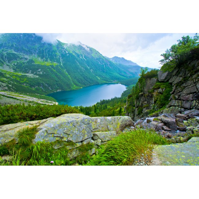 Тавотниця M6X1